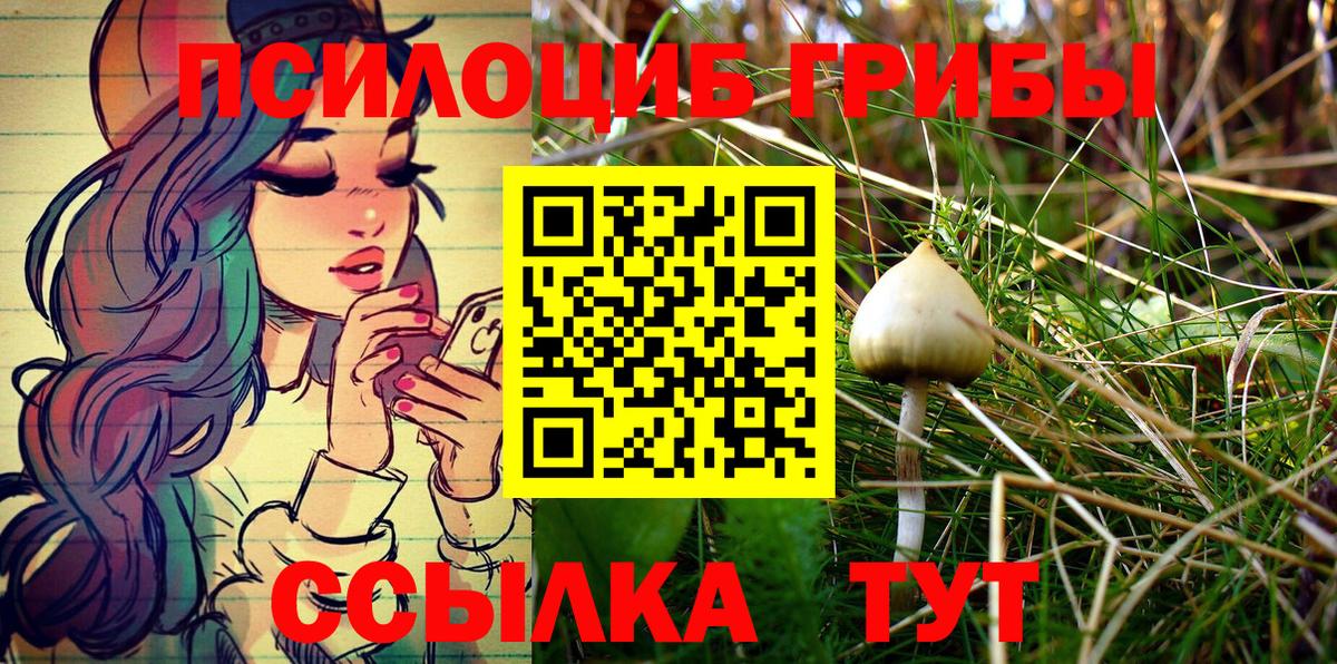 Галлюциногенные грибы Psilocybine cubensis  Вход с VPN  Ногинск 